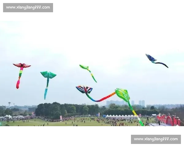 风筝比赛:风中飞翔的艺术与竞技,展现风筝手的技艺与创意