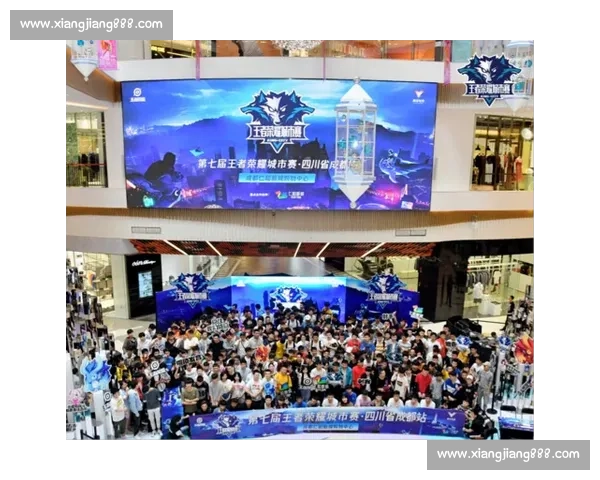 龙腾万里赛事荣耀争夺赛,探索赛场激情与策略的终极较量