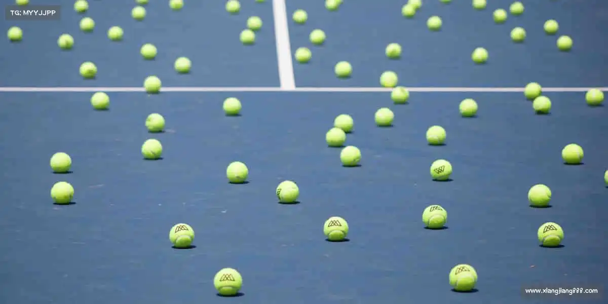 为什么选择我们